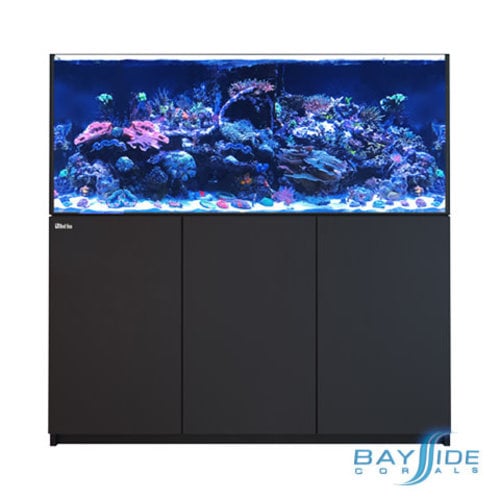 Red Sea REEFER 625 G2 | Black