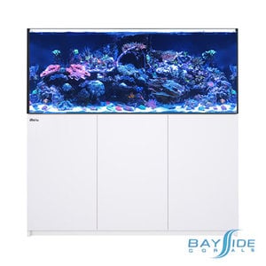 Red Sea REEFER 625 G2 | White