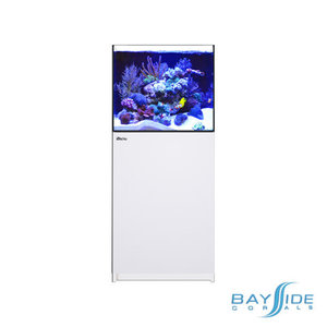 Red Sea REEFER 200 G2 | White