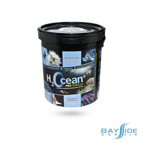 D-D Aquarium Solution H2Ocean Salt | Mini Pail 6.6kg D-D Aquarium Solution H2Ocean Salt | Mini Pail 6.6kg