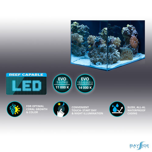 Fluval Fluval Sea EVO LED Aquarium | 5 Gal