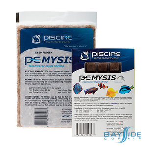 Piscine Energetics Mysis Flat Pack | 40oz