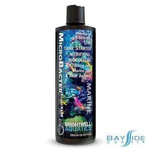 Brightwell Aquatics MicroBacter Start XLM  | 250ml