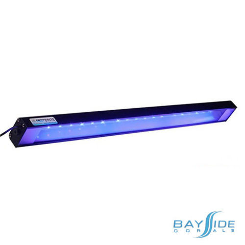 Reef Brite XHO LED Blue | 72"