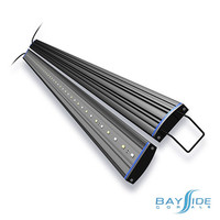 Reno LED 15W Blue/White Marine | 36"