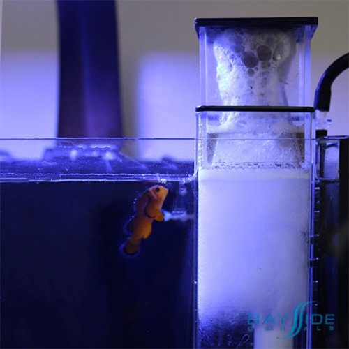 Innovative Marine BioSkim DC™ Nano AIO Protein Skimmer