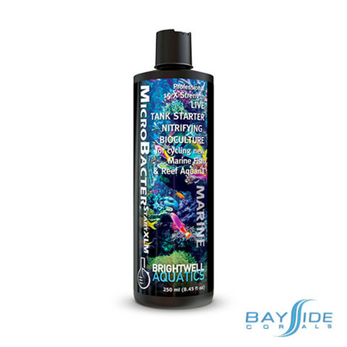 Brightwell Aquatics MicroBacter Clean | 250ml