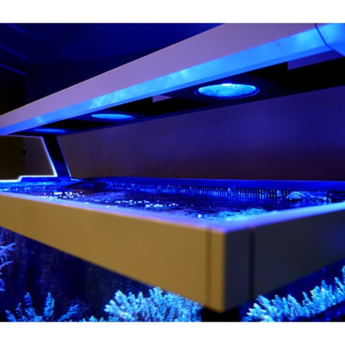 Red Sea Red Sea MAX S-Series S400 LED Complete Reef System | Black