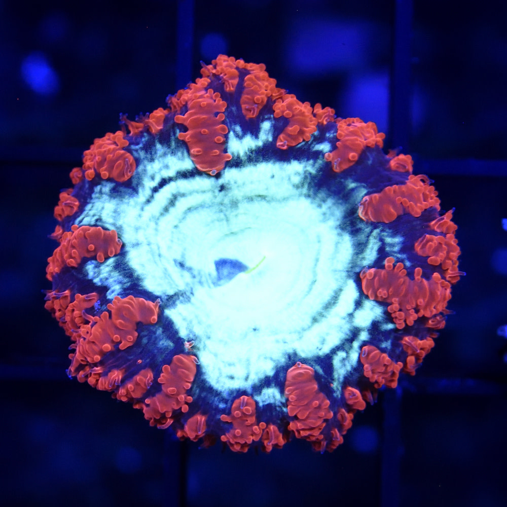 National Center for Biotechnology Information