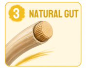 NATURAL GUT