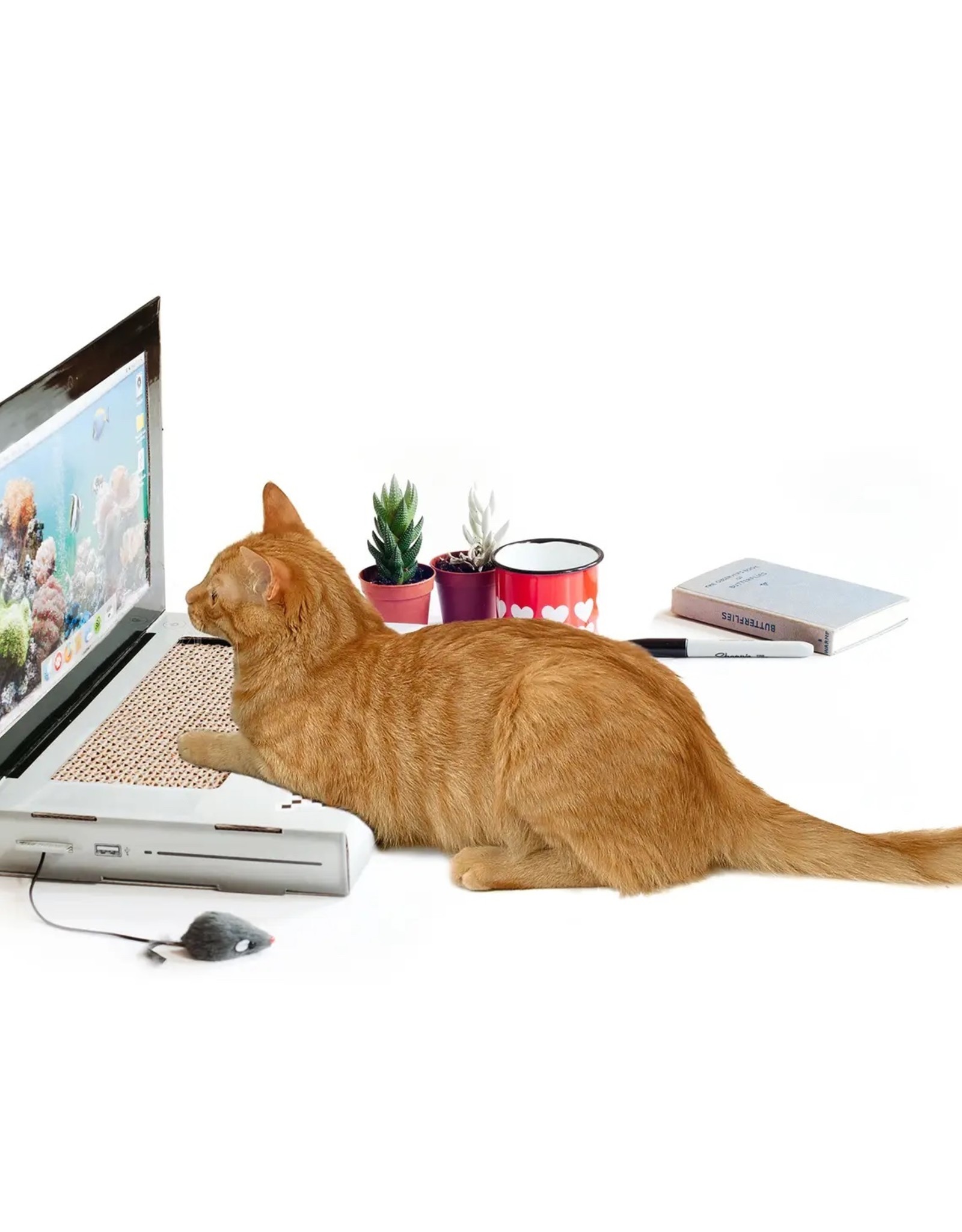 SUCK US Cat Laptop Scratcher