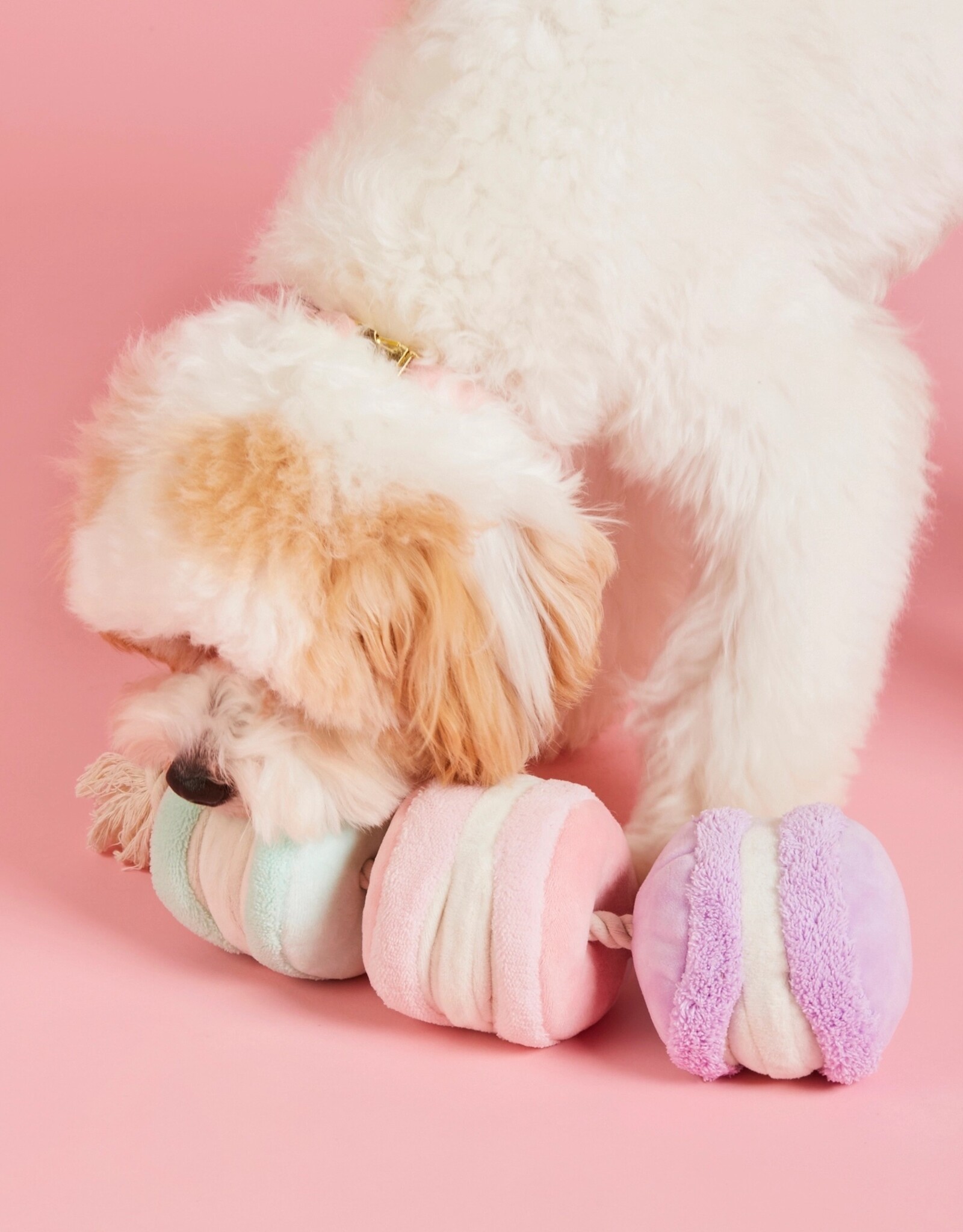 The Foggy Dog Macarons Interactive Snuffle Dog Toy