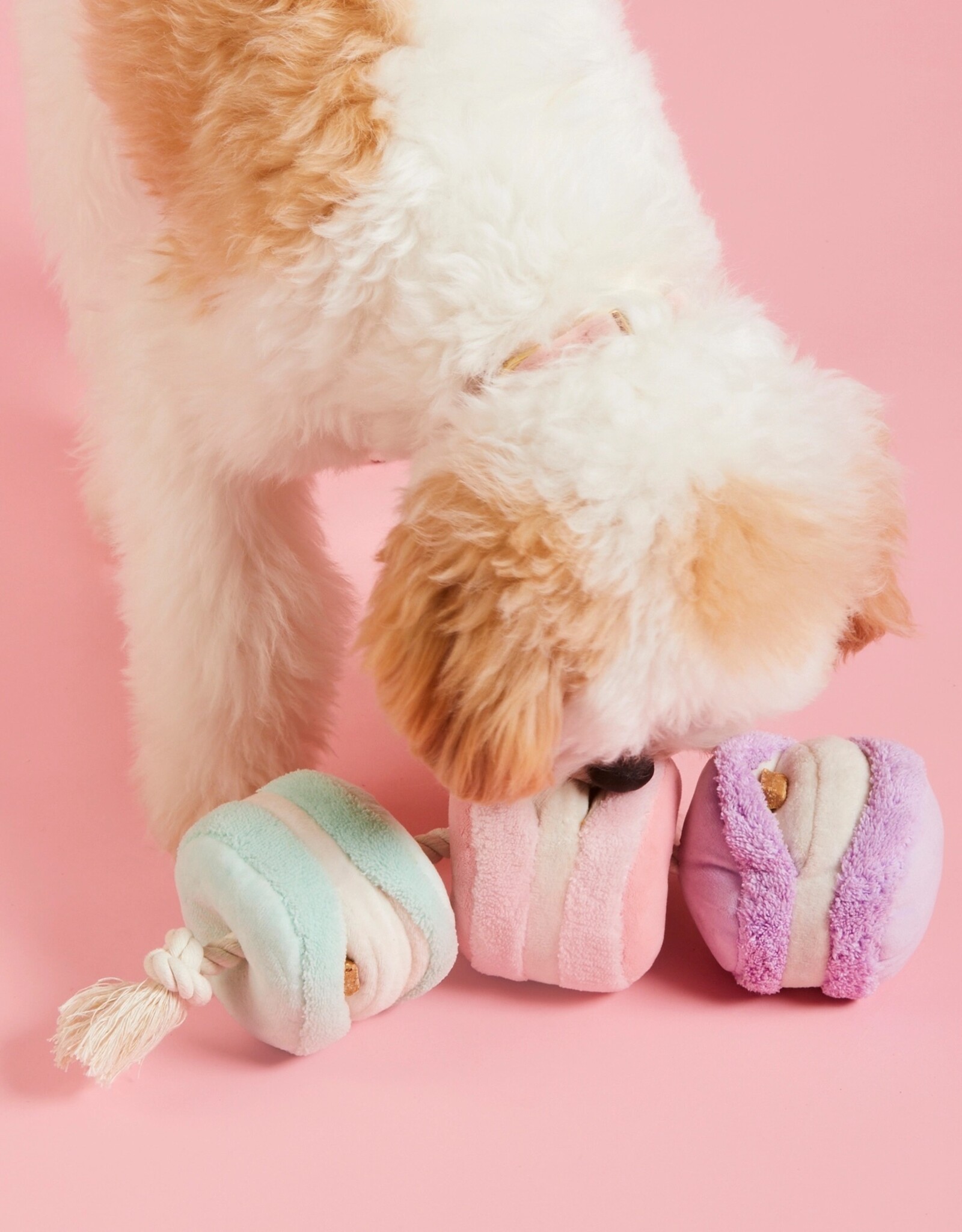 The Foggy Dog Macarons Interactive Snuffle Dog Toy