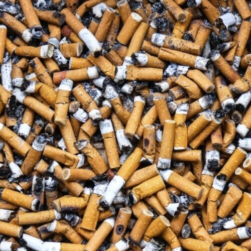  REAL PEOPLE Smoking Damages Pictures :Warning the truth is hard to look at 