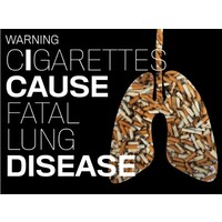 Smoking Damages your LIFE Read below