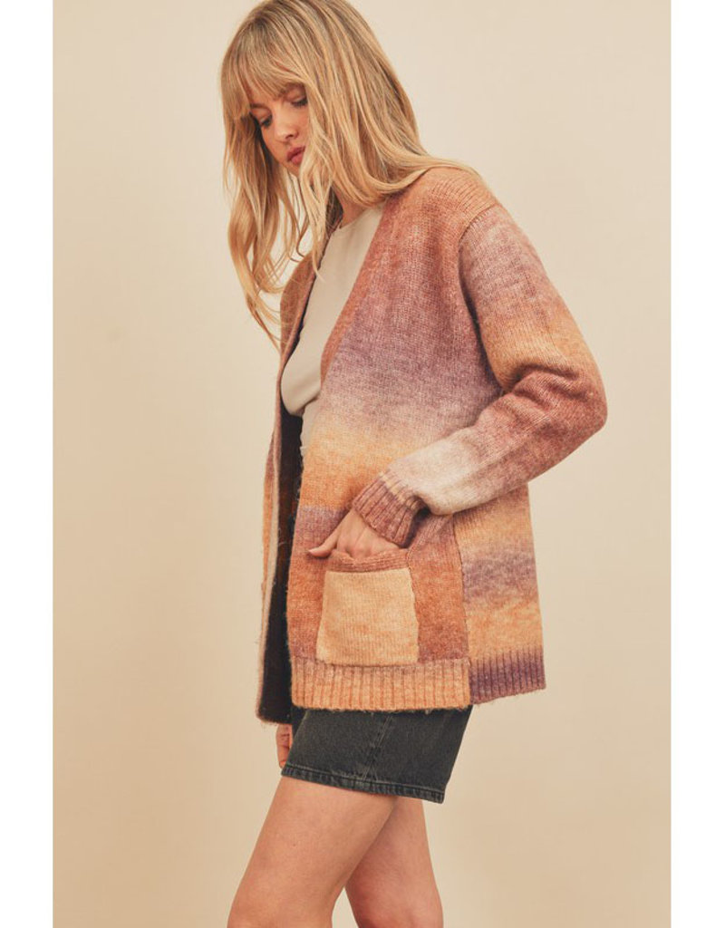 Dress Forum Striped Multicolor Knit Cardigan