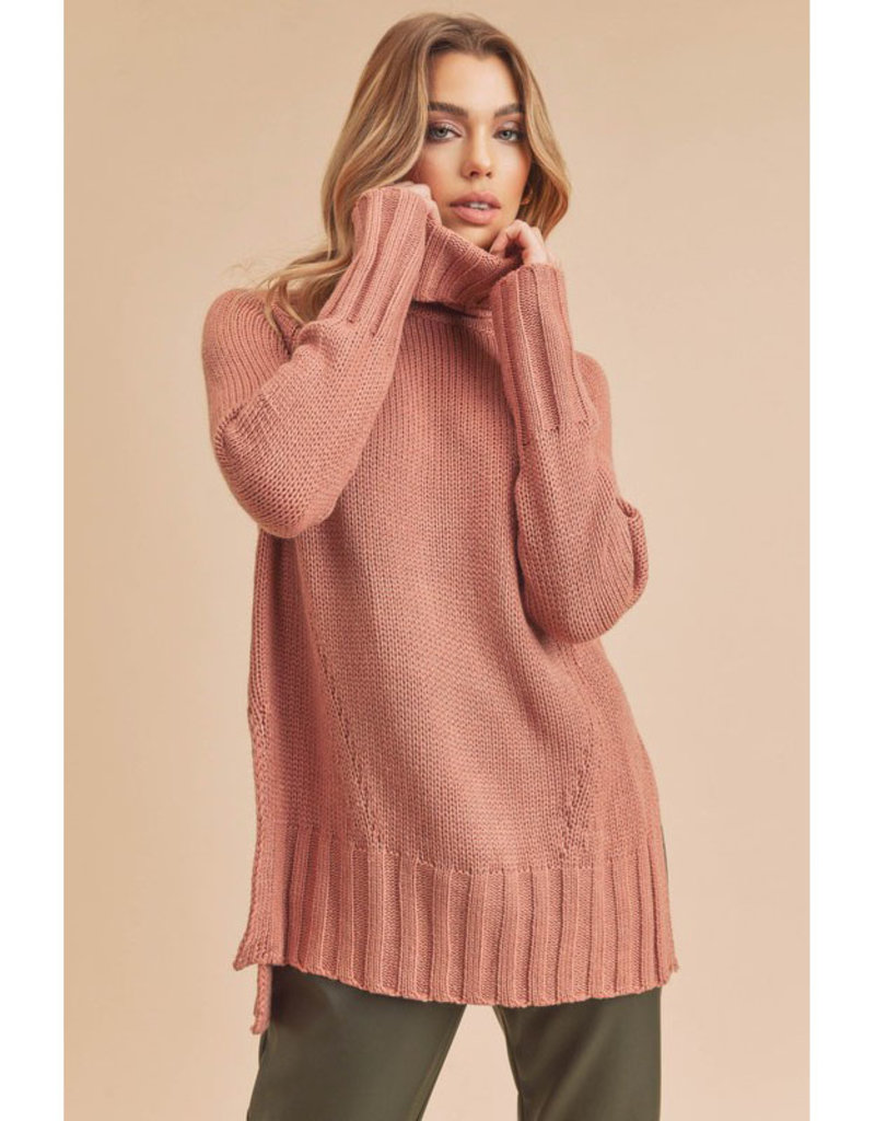 AEMI+CO Rose Slouchy Turtleneck Sweater