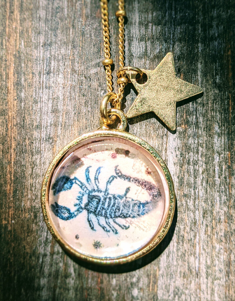 Bird in the Sky Astrological Necklace Water Sign