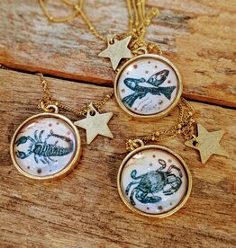Bird in the Sky Astrological Necklace Water Sign
