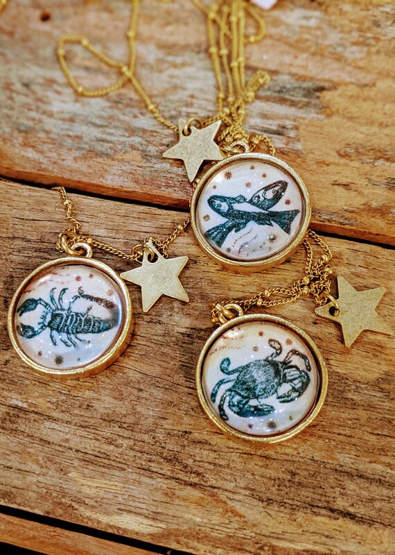 Bird in the Sky Astrological Necklace Water Sign