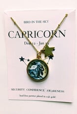 Bird in the Sky Astrological Necklace Earth Sign