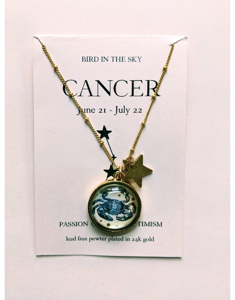 Bird in the Sky Astrological Necklace Water Sign