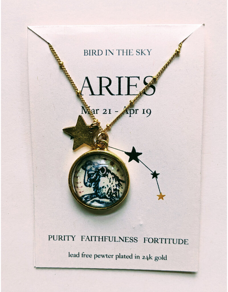 Bird in the Sky Astrological Necklace Fire Sign