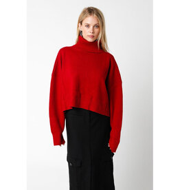 Olivaceous Red Turtleneck High-Low Sweater