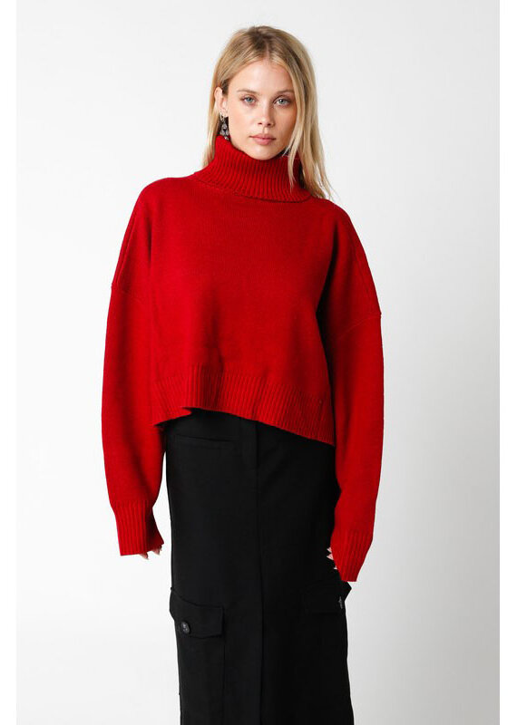 Olivaceous Red Turtleneck High-Low Sweater