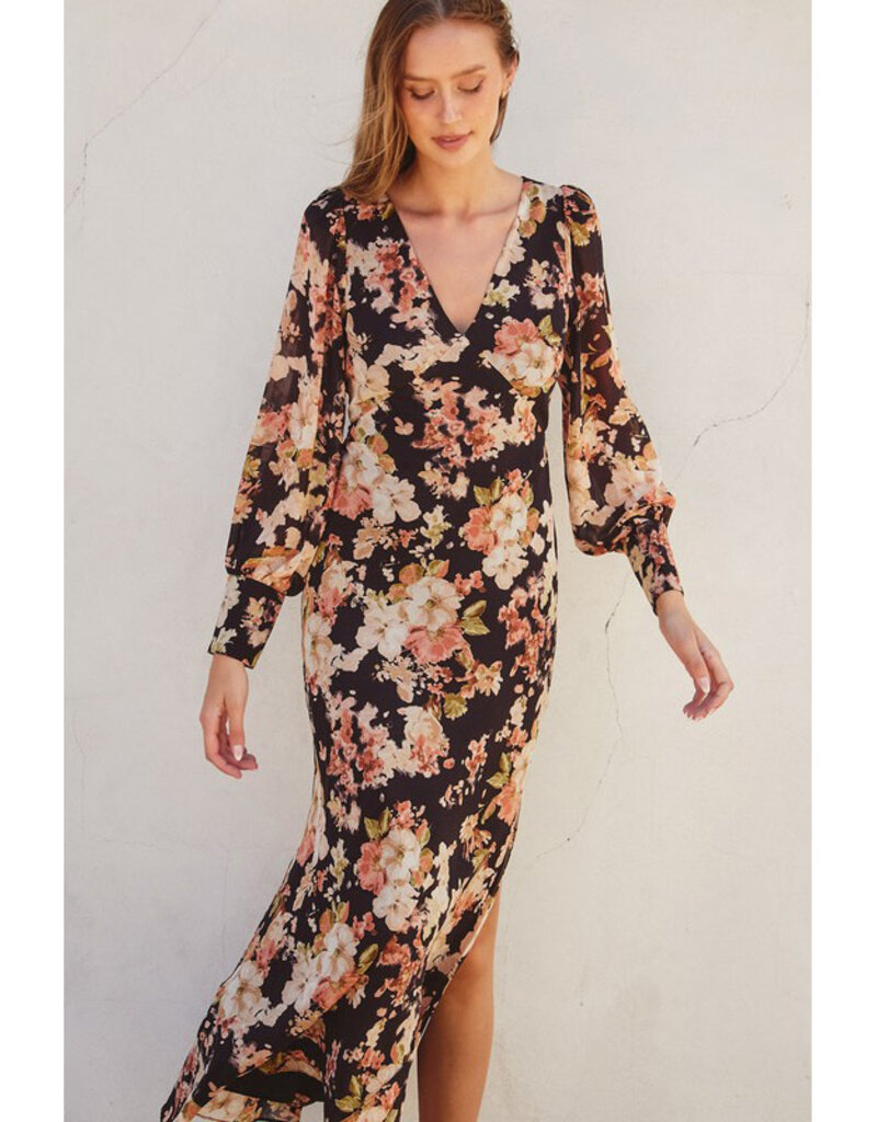 Dress Forum Midnight Floral Plunging Maxi