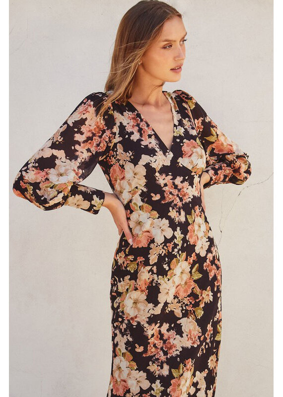 Dress Forum Midnight Floral Plunging Maxi