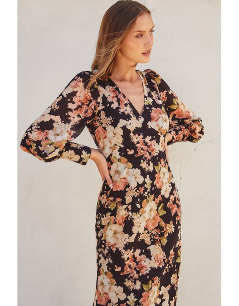 Dress Forum Midnight Floral Plunging Maxi
