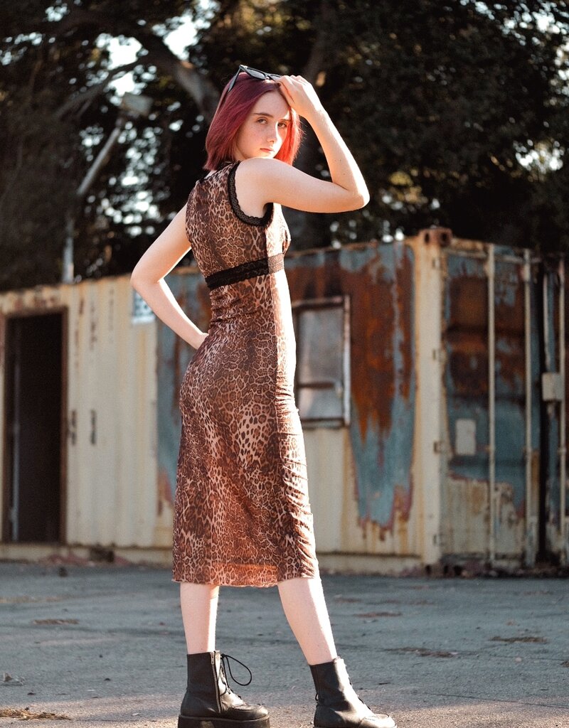 Le Lis Leopard Mesh Midi Dress