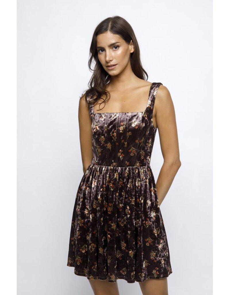 Storia Floral Velvet Mini Dress