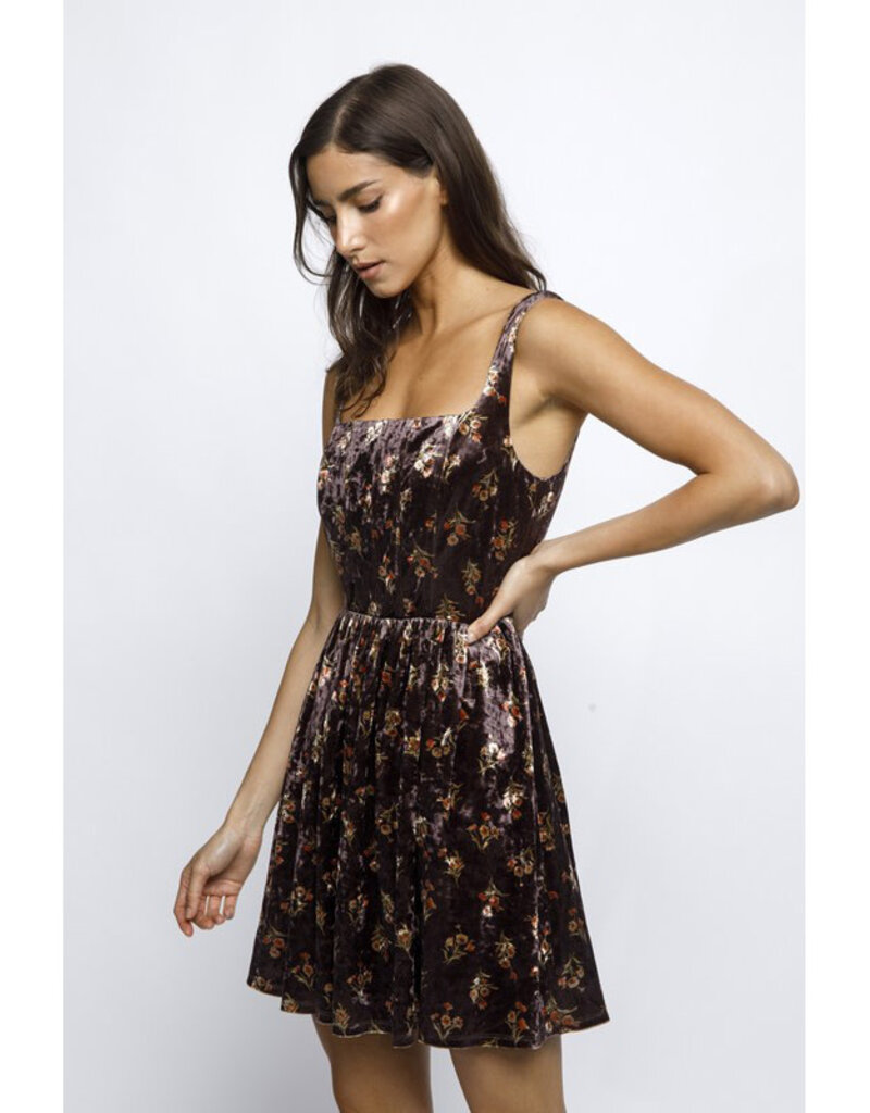 Storia Floral Velvet Mini Dress