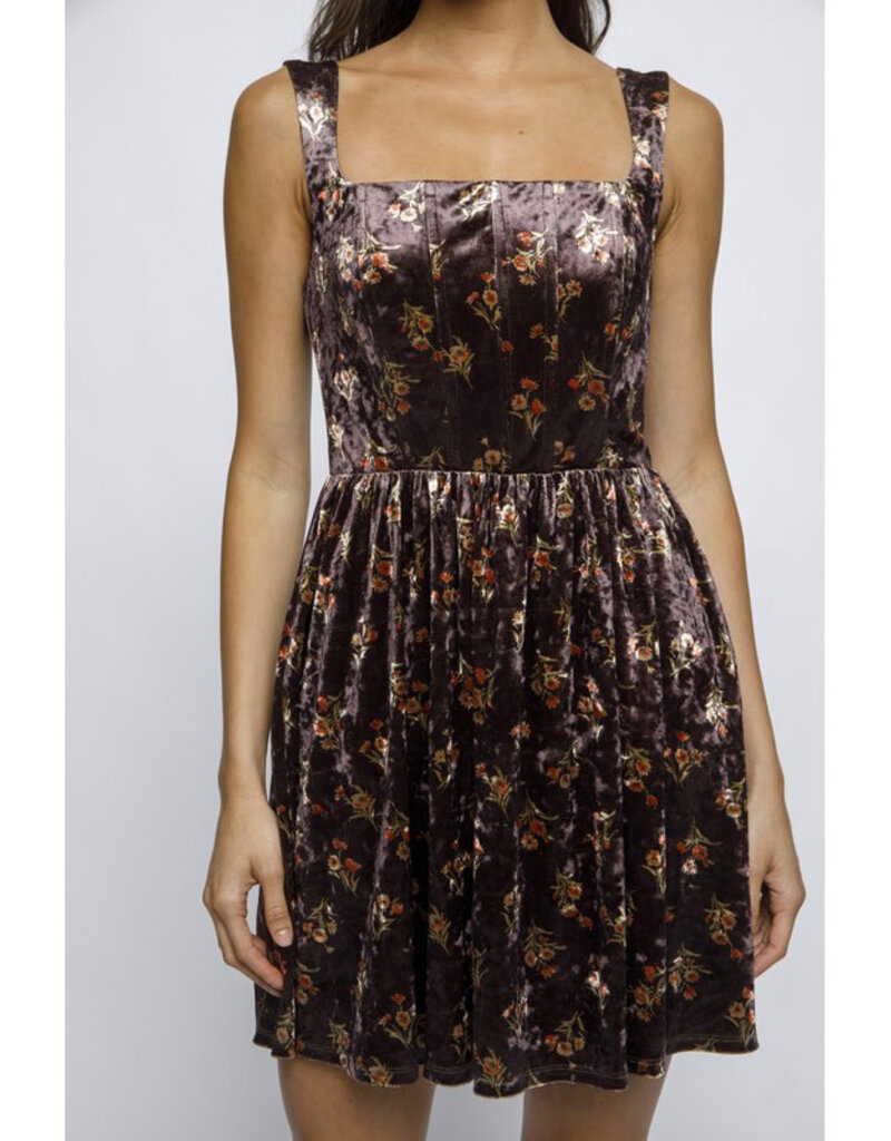 Storia Floral Velvet Mini Dress