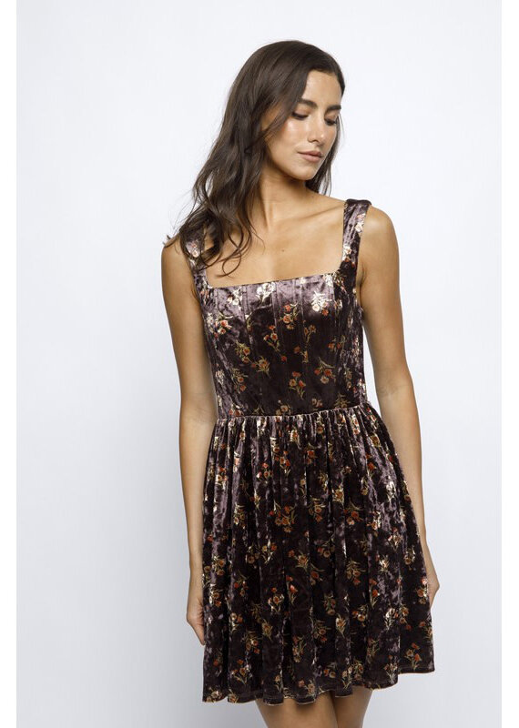 Storia Floral Velvet Mini Dress