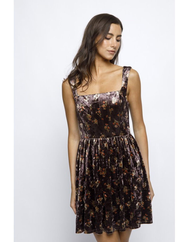 Storia Floral Velvet Mini Dress