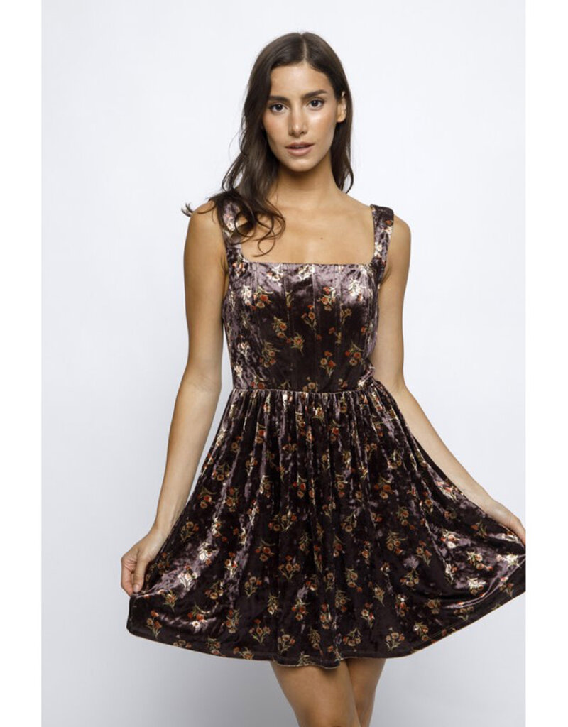 Storia Floral Velvet Mini Dress