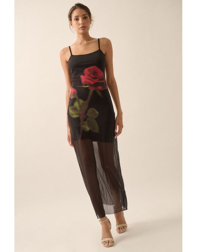 Promesa Rose Print Mesh Maxi Dress