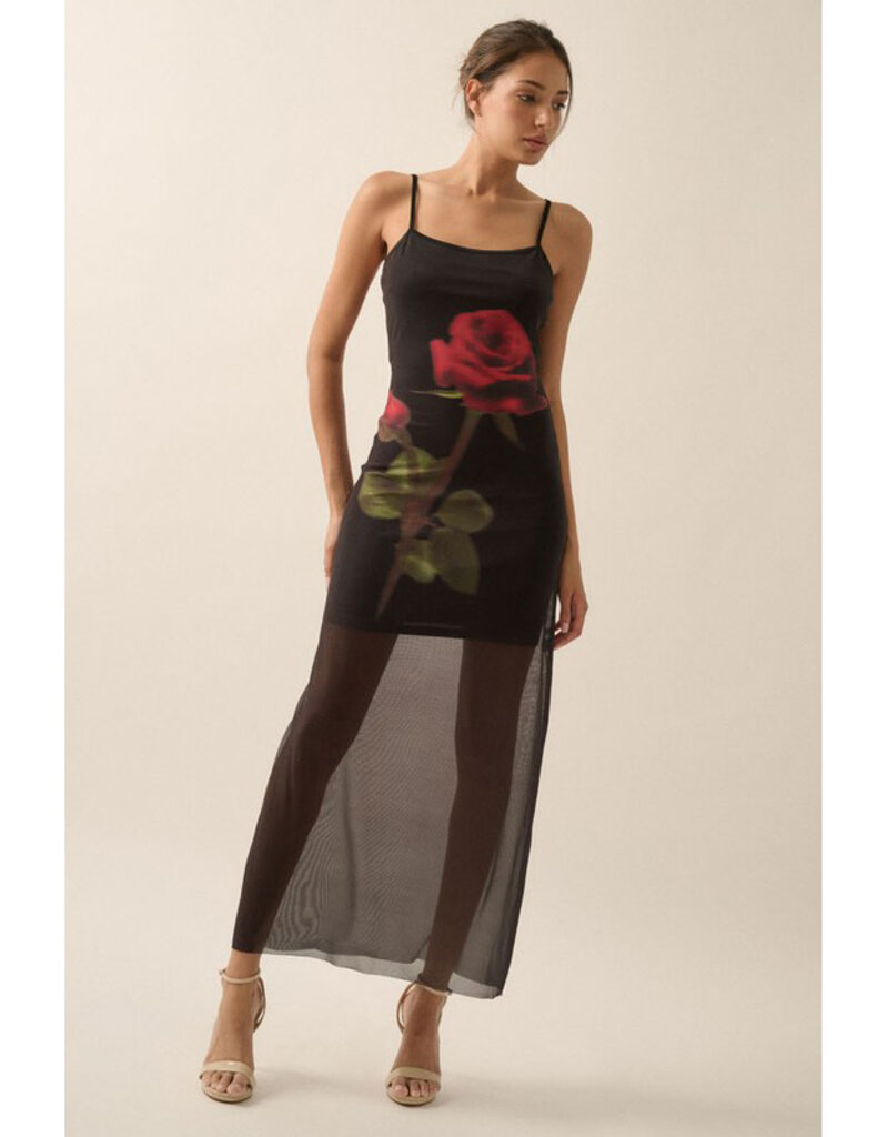 Promesa Rose Print Mesh Maxi Dress