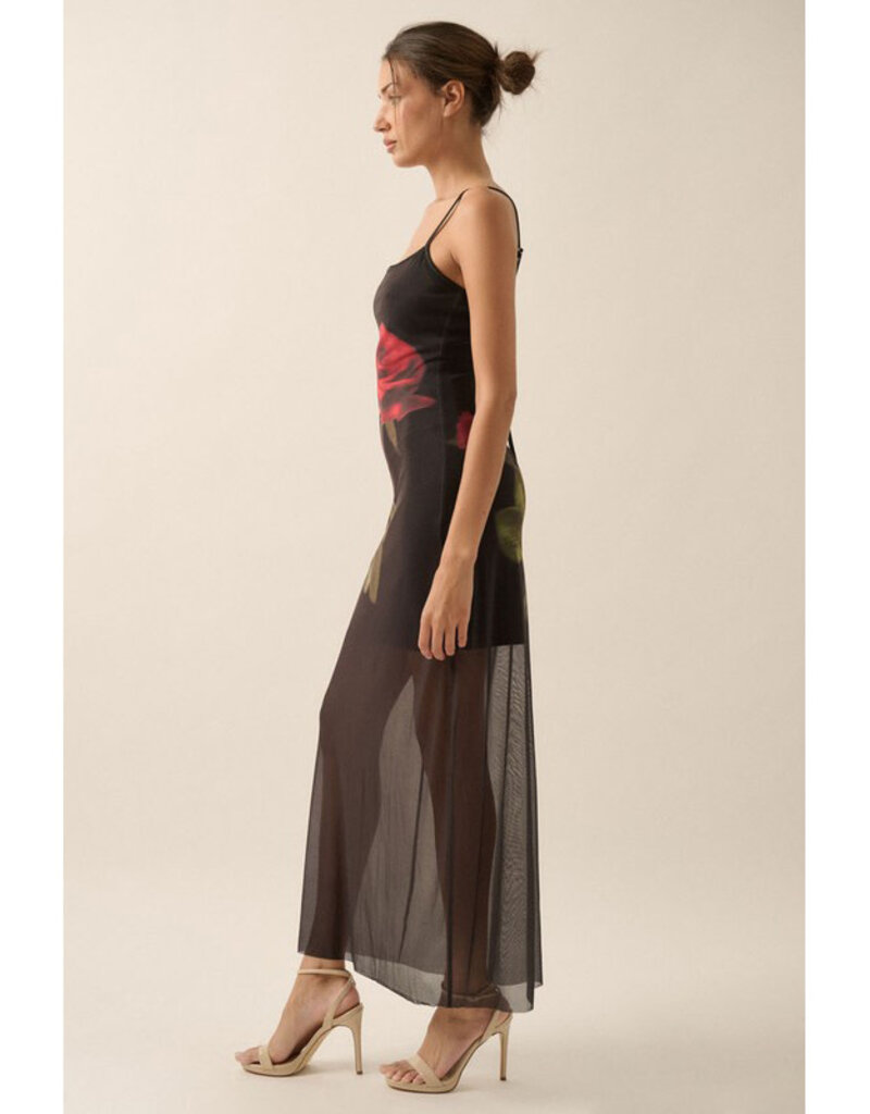 Promesa Rose Print Mesh Maxi Dress