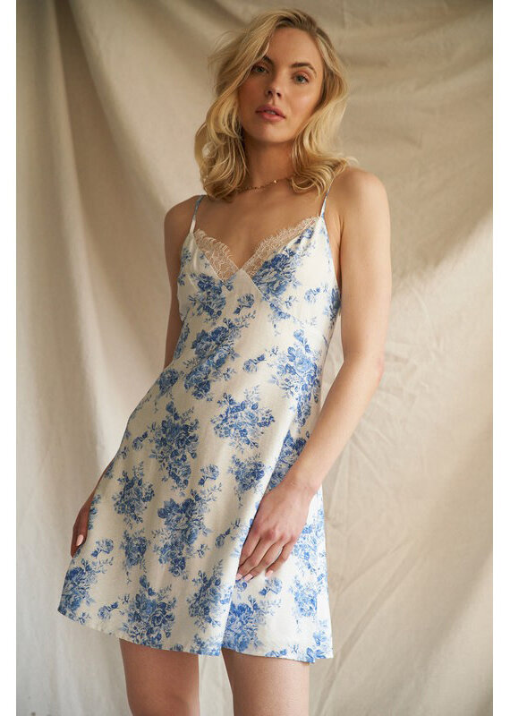 En Creme White & Blue Floral Mini Dress