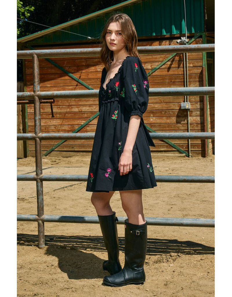 Raisonnel Black Embroidered Mini Dress