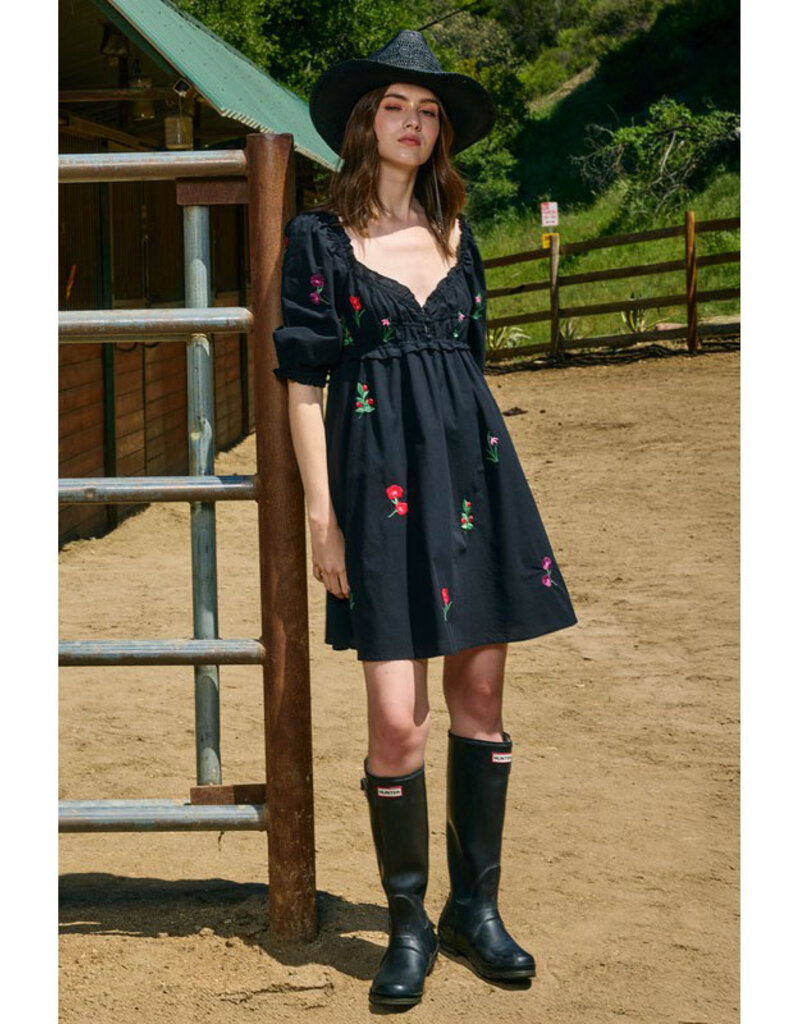 Raisonnel Black Embroidered Mini Dress