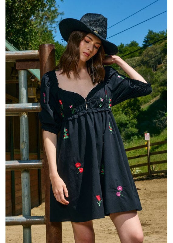 Raisonnel Black Embroidered Mini Dress