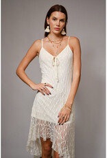 blue b. collection Asymmetrical Lace Mini Dress