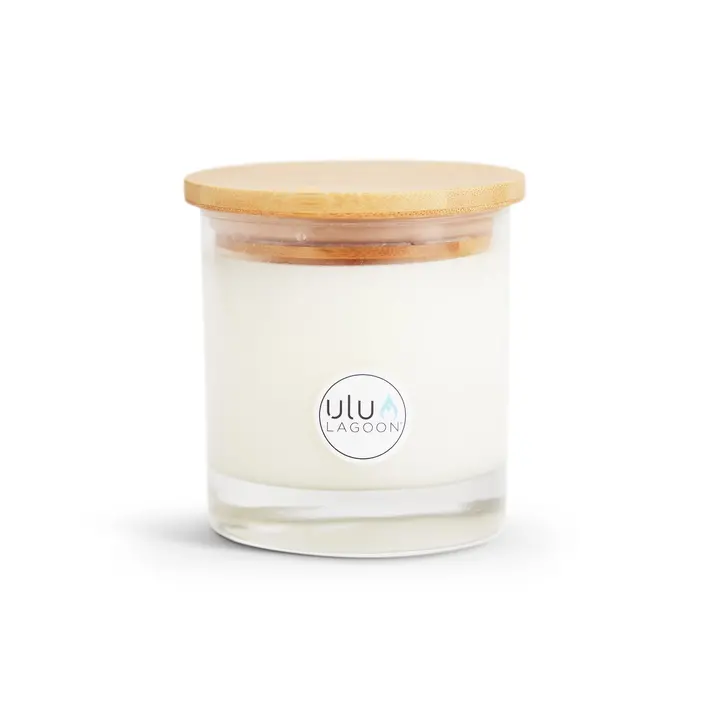 https://cdn.shoplightspeed.com/shops/627109/files/58834826/720x720x1/ulu-lagoon-11-oz-winter-jar-candle.jpg