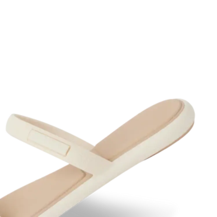 REEF WATER WILLOW MARINA