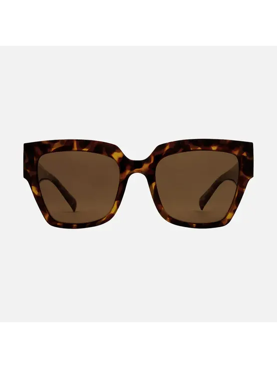 CARVE EYEWEAR Valerie Honey Tort Brown Injected Polarized Lens